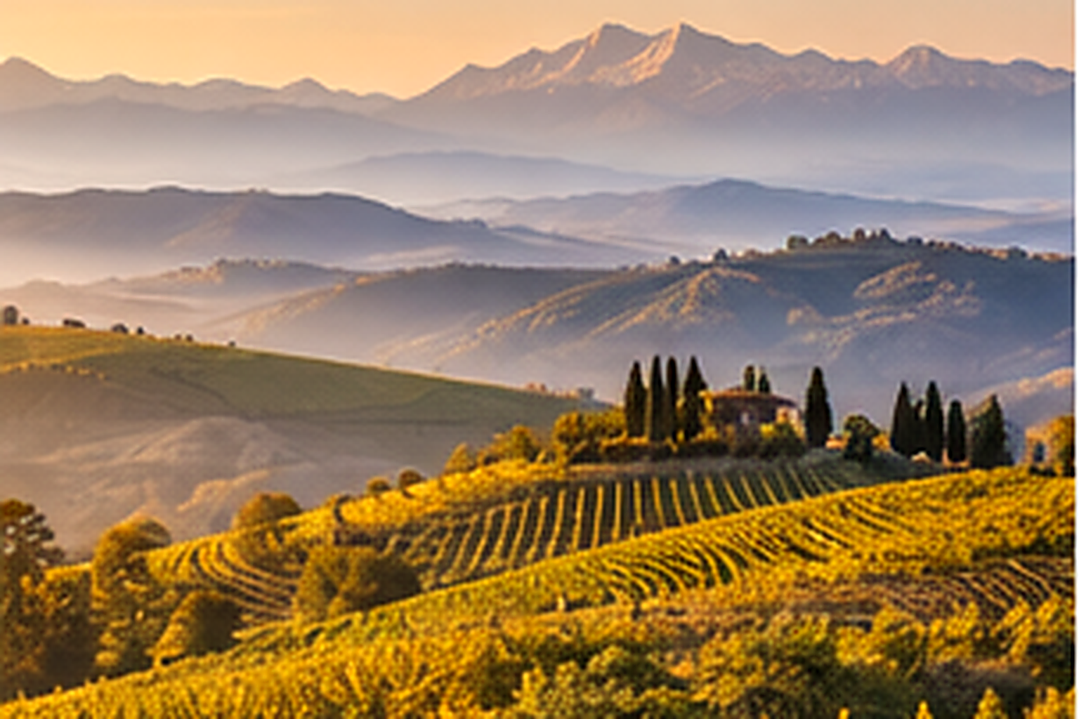 Wine region of friuli-venezia giulia