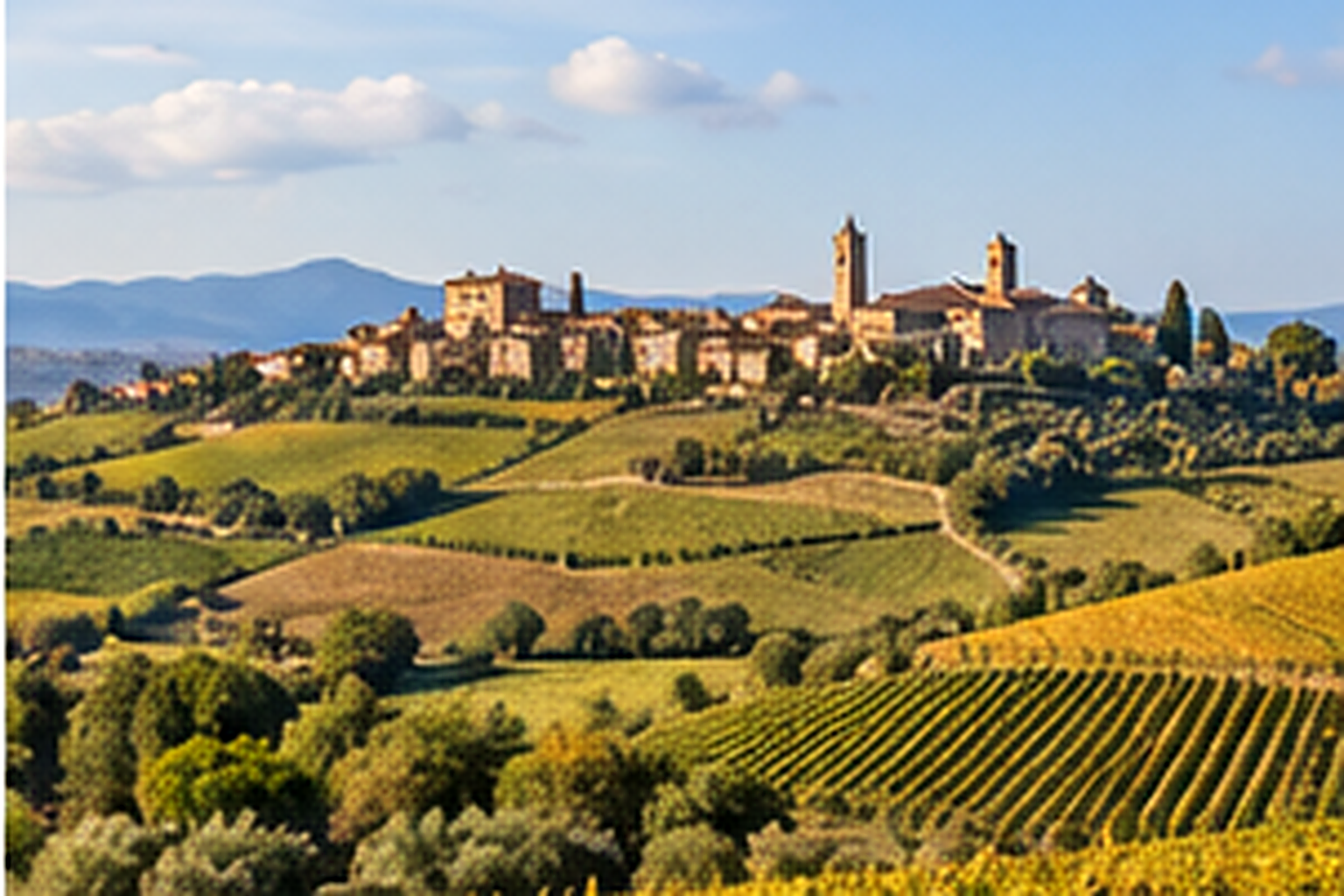 Wine region of marche