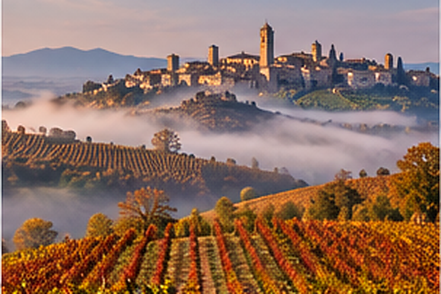 Wine region of piemonte