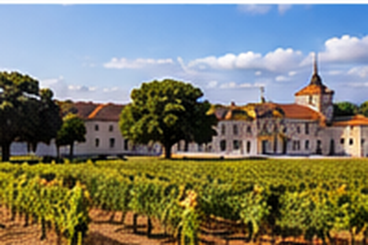 Wine region of bairrada