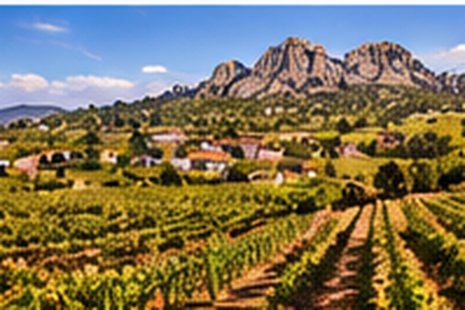 Wine region of dão and lafões