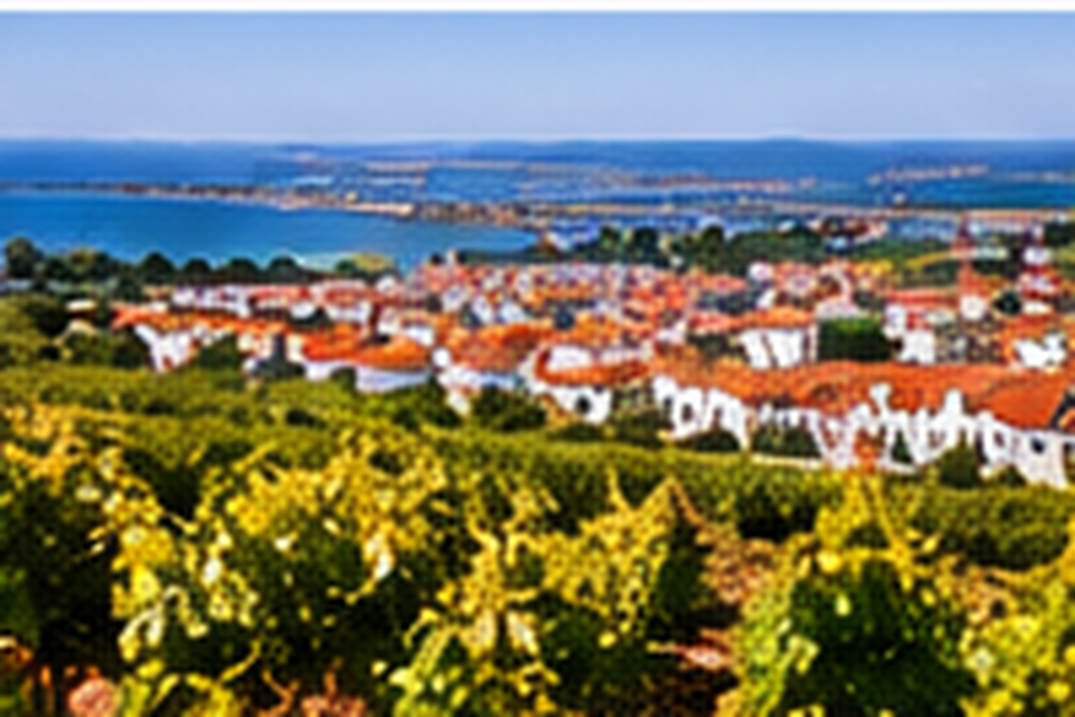 Wine region of lisboa