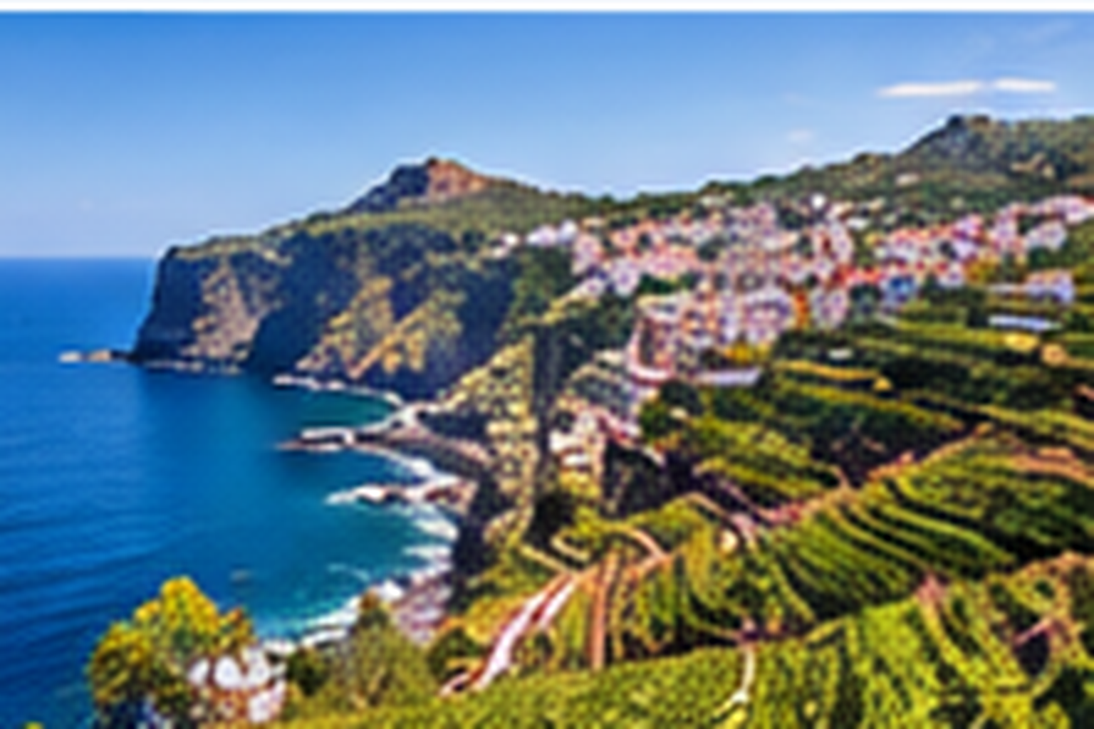Wine region of madeira