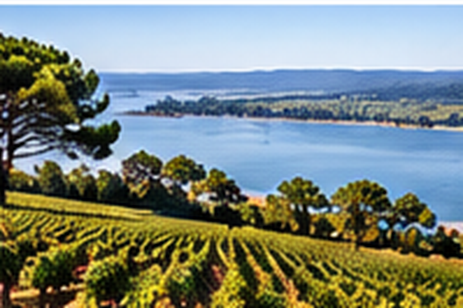 Wine region of península de setúbal