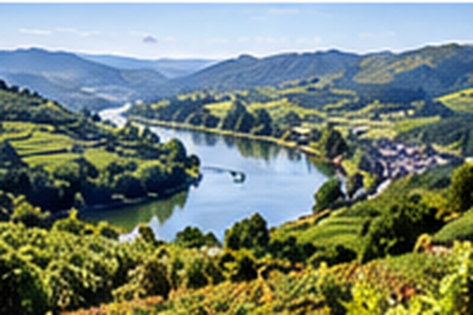 Wine region of vinho verde